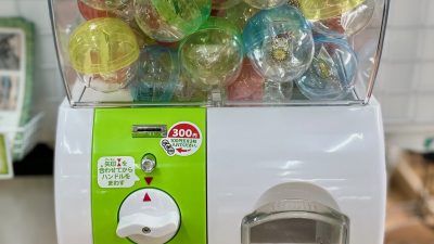オケちゃんガチャ登場!