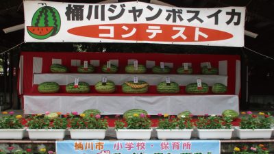 第18回桶川ジャンボスイカコンテスト