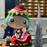 桶川イルミネーション2025点灯式