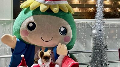 桶川イルミネーション2025点灯式